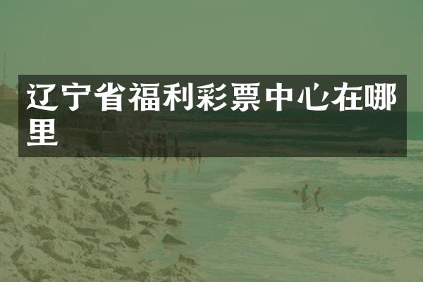 辽宁省福利彩票中心在哪里