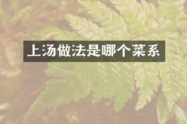 上汤做法是哪个菜系