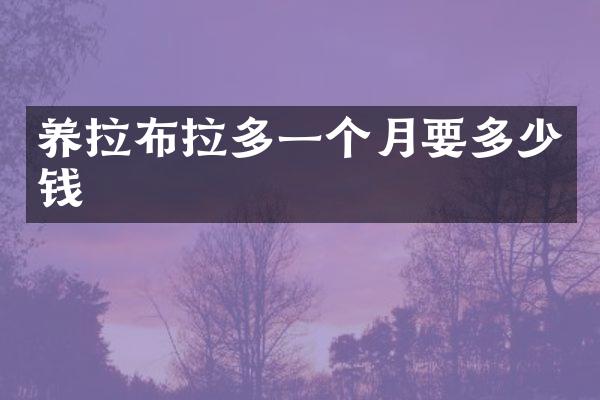 养拉布拉多一个月要多少钱