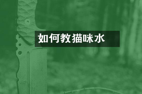 如何教猫咪飲水