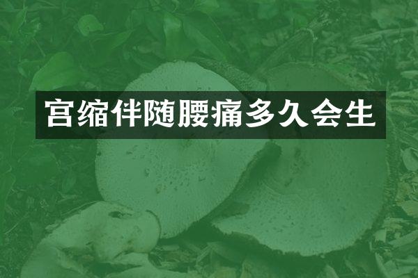 宫缩伴随腰痛多久会生