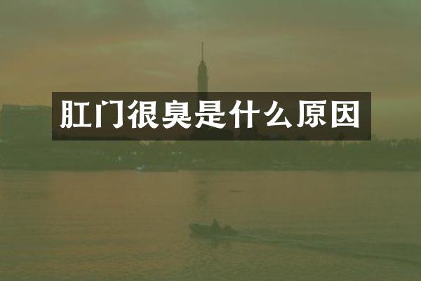 肛门很臭是什么原因