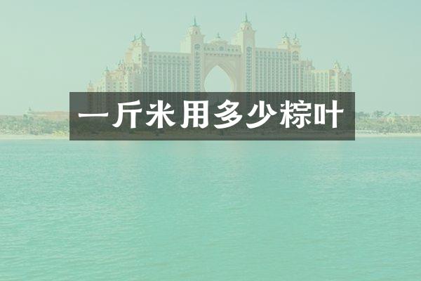 一斤米用多少粽叶
