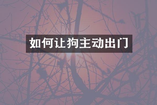 如何让狗主动出门