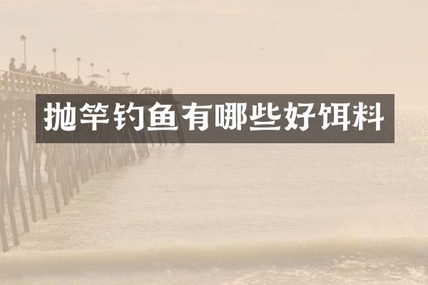 抛竿钓鱼有哪些好饵料