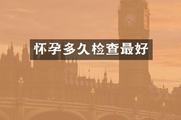 怀孕多久检查最好