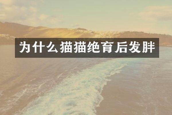 为什么猫猫绝育后发胖