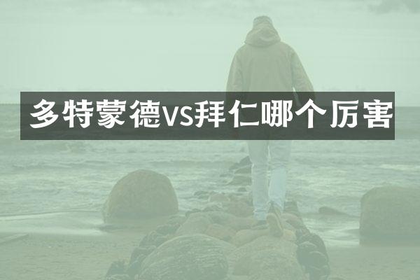 多特蒙德vs拜仁哪个厉害