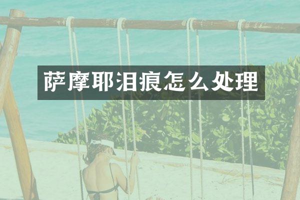 萨摩耶泪痕怎么处理
