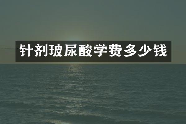 针剂玻尿酸学费多少钱