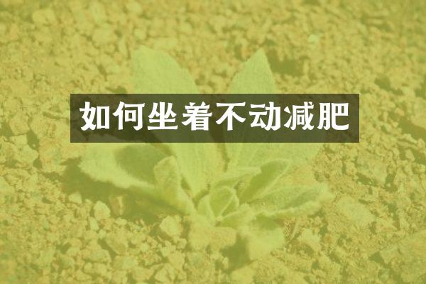 如何坐着不动减肥