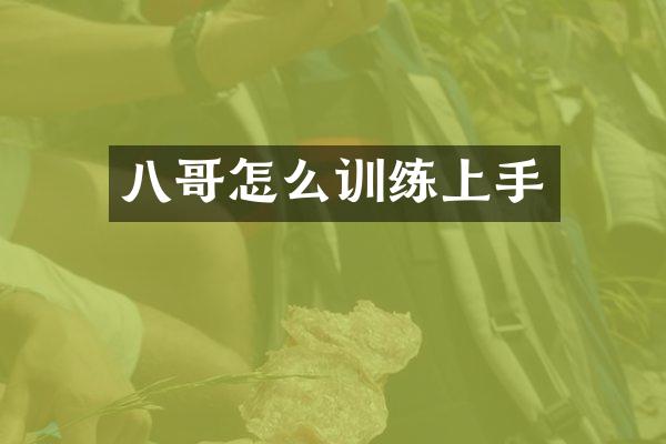 八哥怎么训练上手