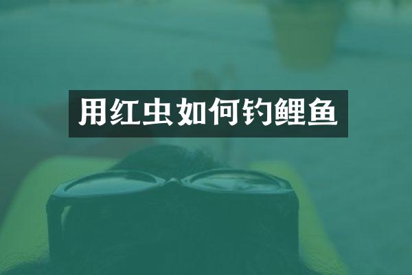 用红虫如何钓鲤鱼