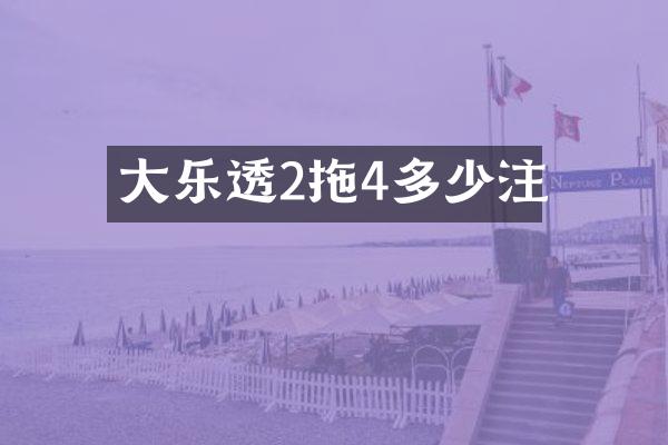大2拖4多少注