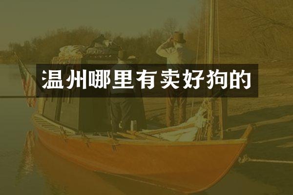 温州哪里有卖好狗的