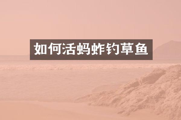 如何活蚂蚱钓草鱼