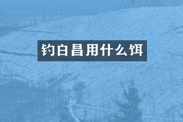 钓白昌用什么饵