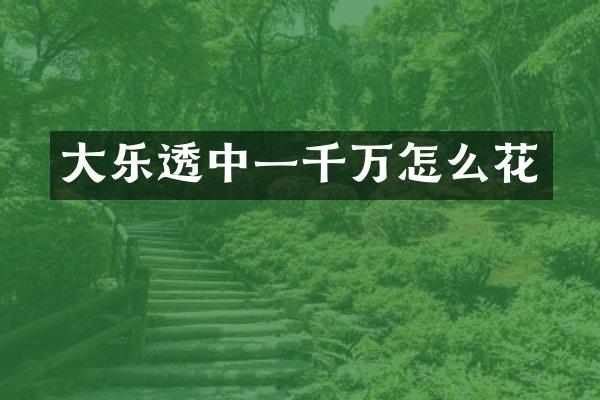 大中一千万怎么花