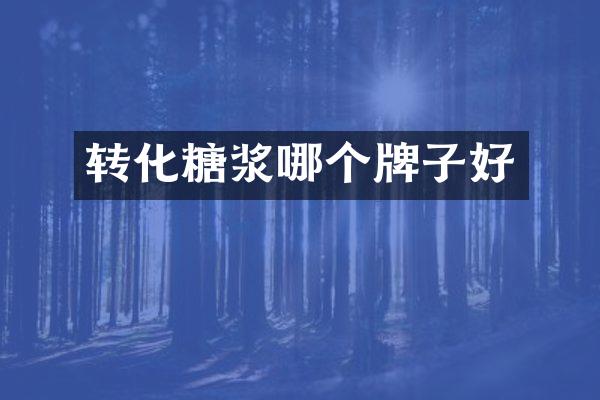 转化糖浆哪个牌子好