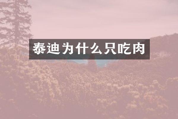 泰迪为什么只吃肉