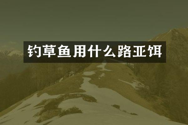 钓草鱼用什么路亚饵