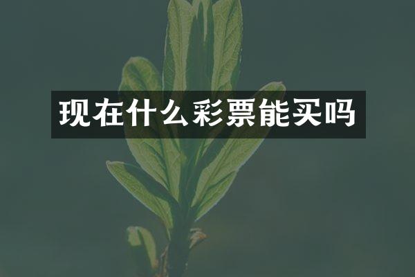现在什么彩票能买吗