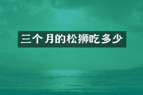 三个月的松狮吃多少