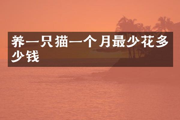 养一只猫一个月最少花多少钱