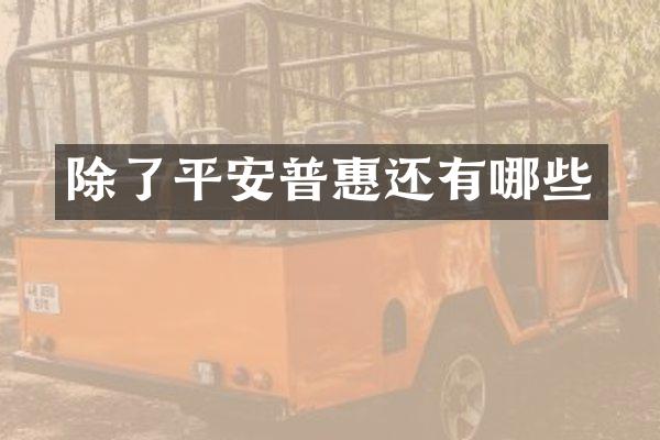 除了平安普惠还有哪些
