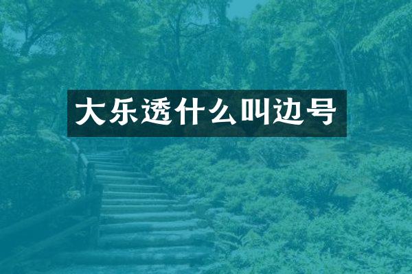 大什么叫边号