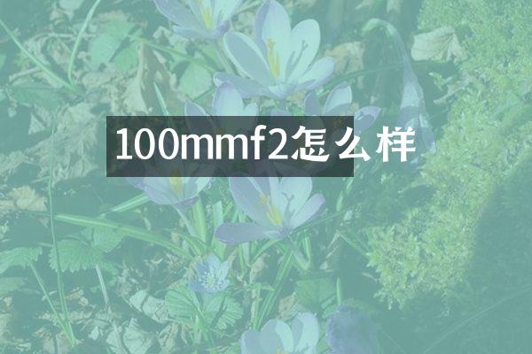 100mmf2怎么样
