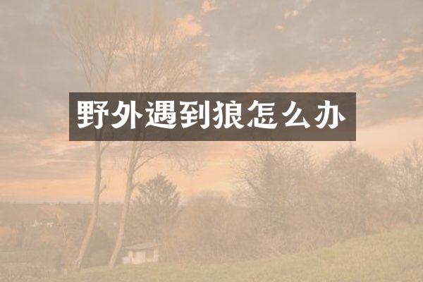 野到狼怎么办