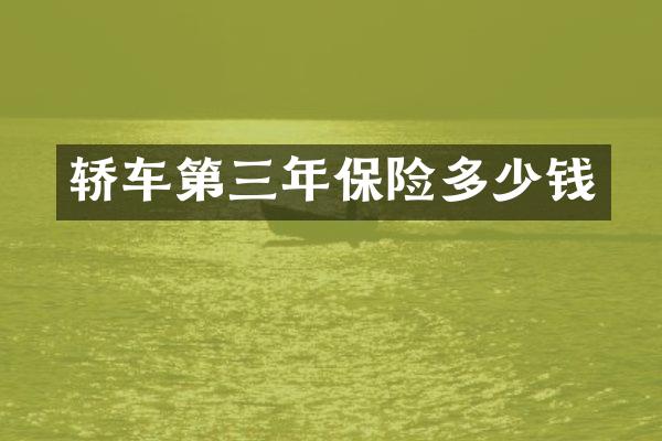 轿车第三年保险多少钱
