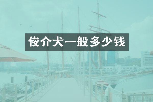 俊介犬一般多少钱