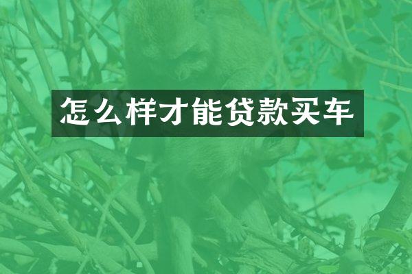 怎么样才能贷款买车