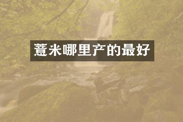 薏米哪里产的最好