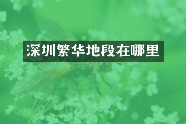 深圳繁华地段在哪里