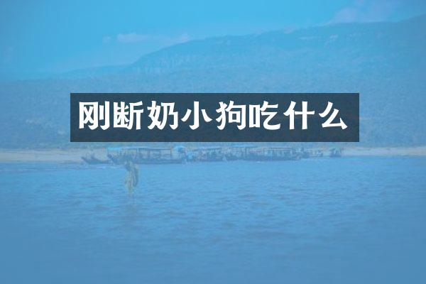 刚断奶小狗吃什么