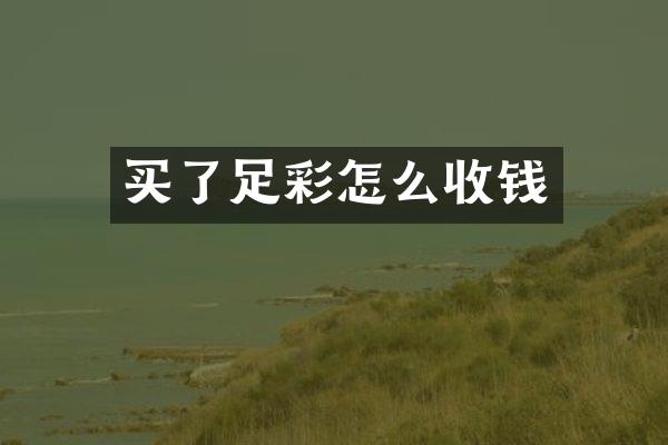 买了怎么收钱