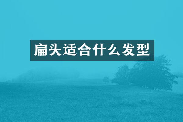 扁头适合什么发型