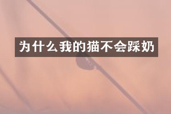 为什么我的猫不会踩奶