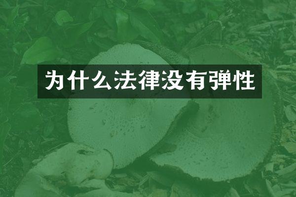 为什么法律没有弹性