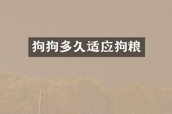 狗狗多久适应