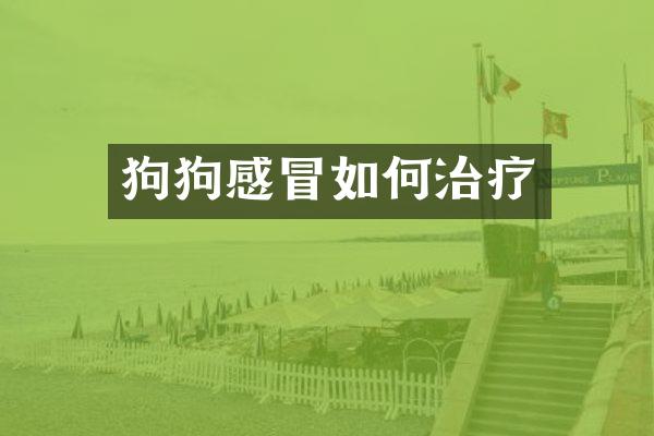 狗狗感冒如何治疗