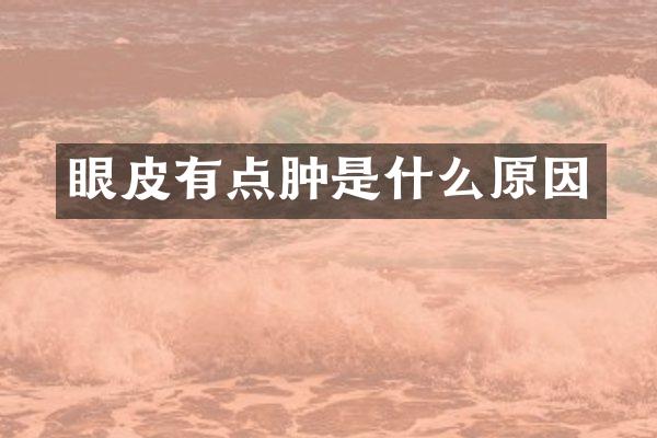 眼皮有点肿是什么原因