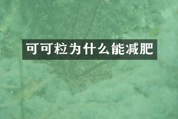 可可粒为什么能减肥
