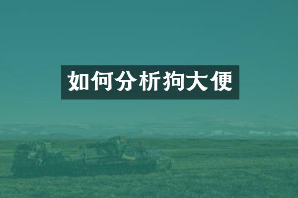 如何分析狗大便