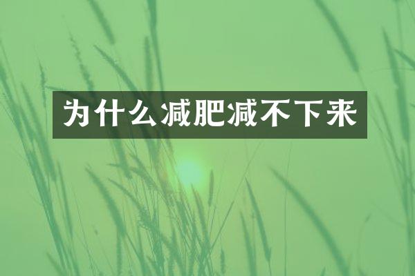 为什么减肥减不下来