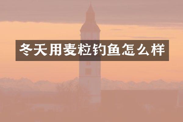 冬天用麦粒钓鱼怎么样