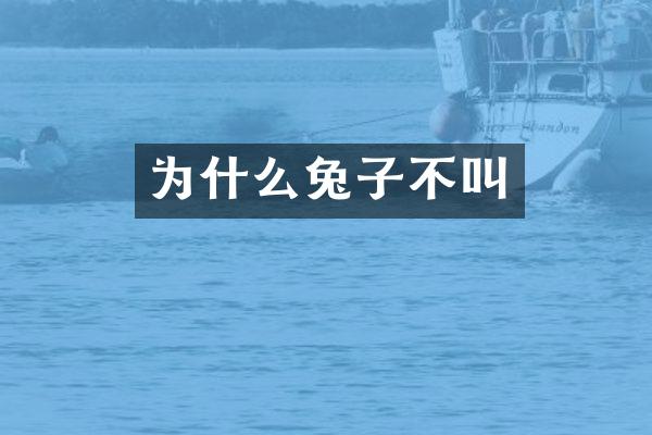 为什么兔子不叫